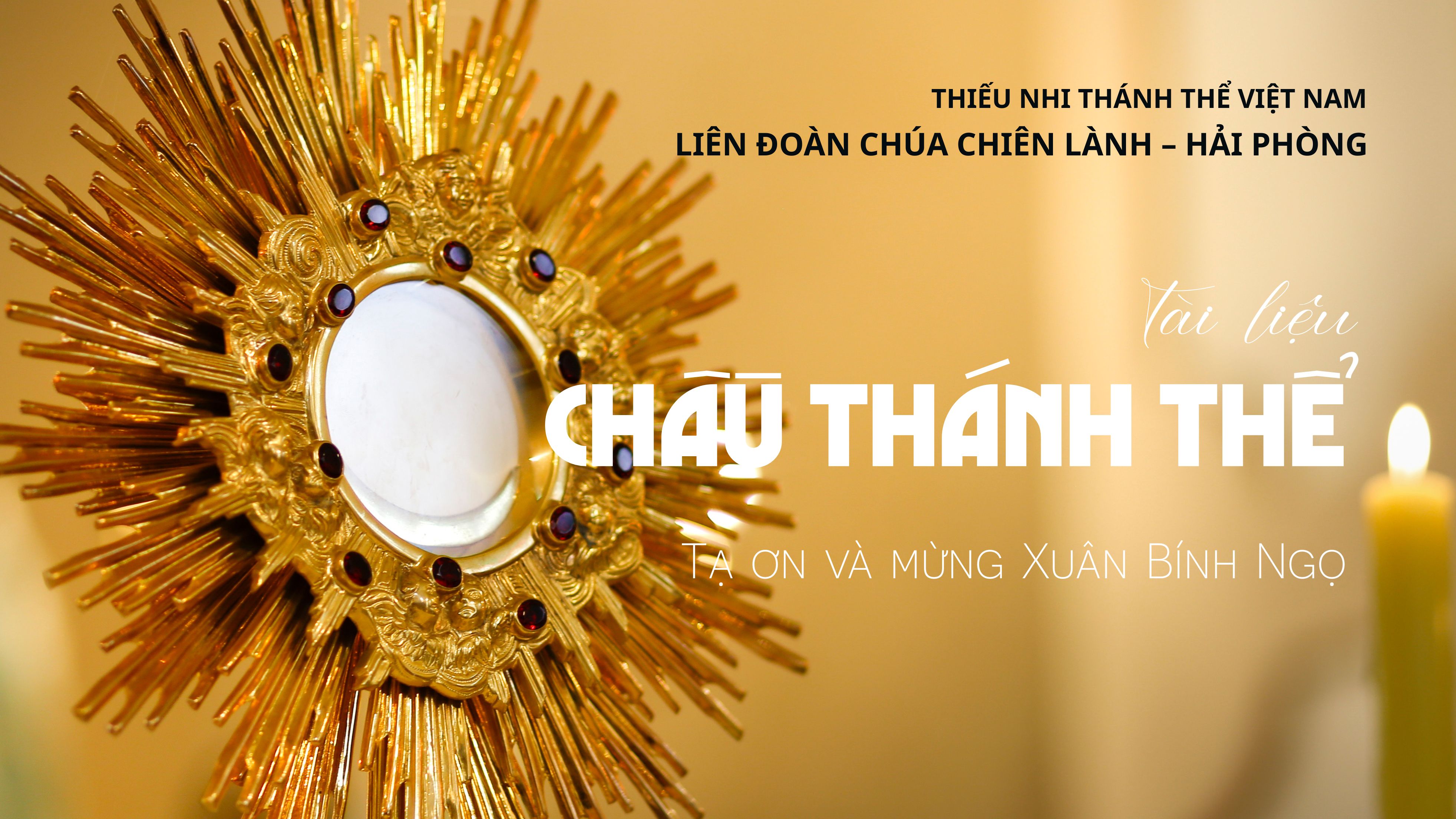 Tài liệu: Liên đoàn TNTT Giáo phận chầu Thánh Thể tạ ơn mừng Xuân Bính Ngọ